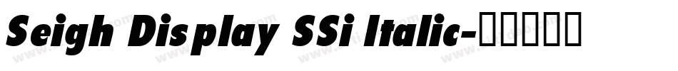 Seigh Display SSi Italic字体转换